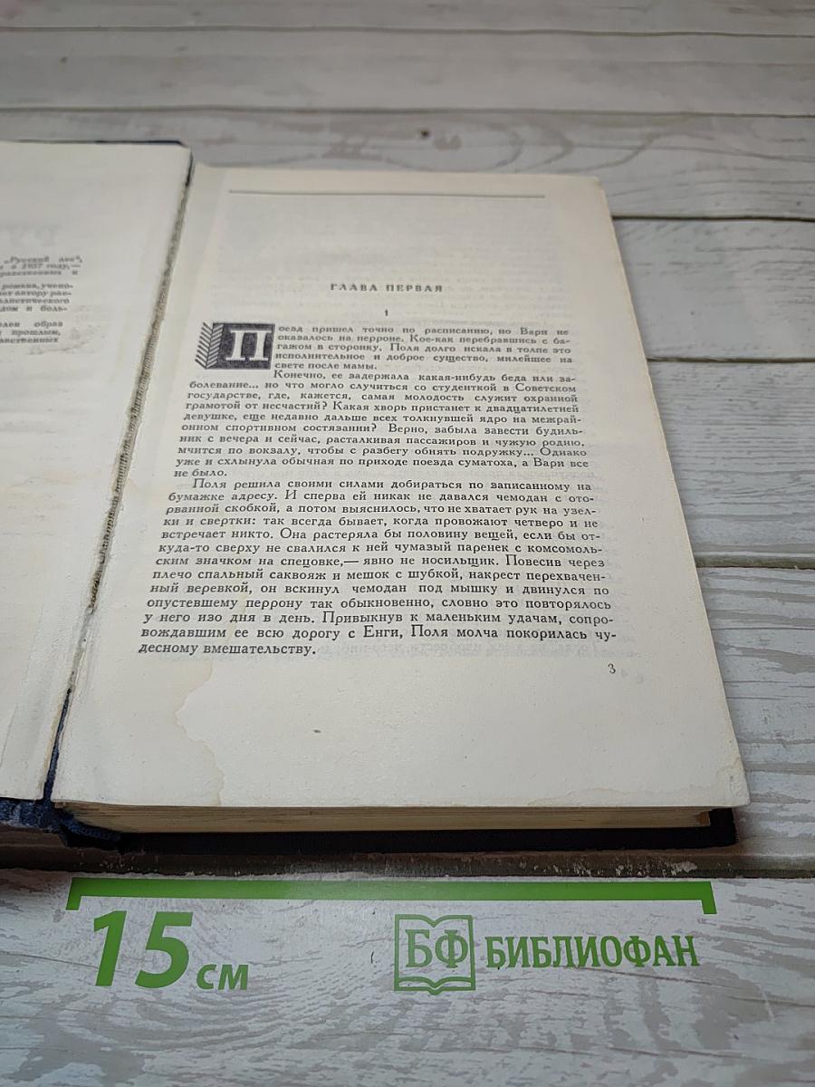 Русский лес