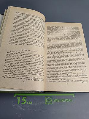 Сумка волшебника