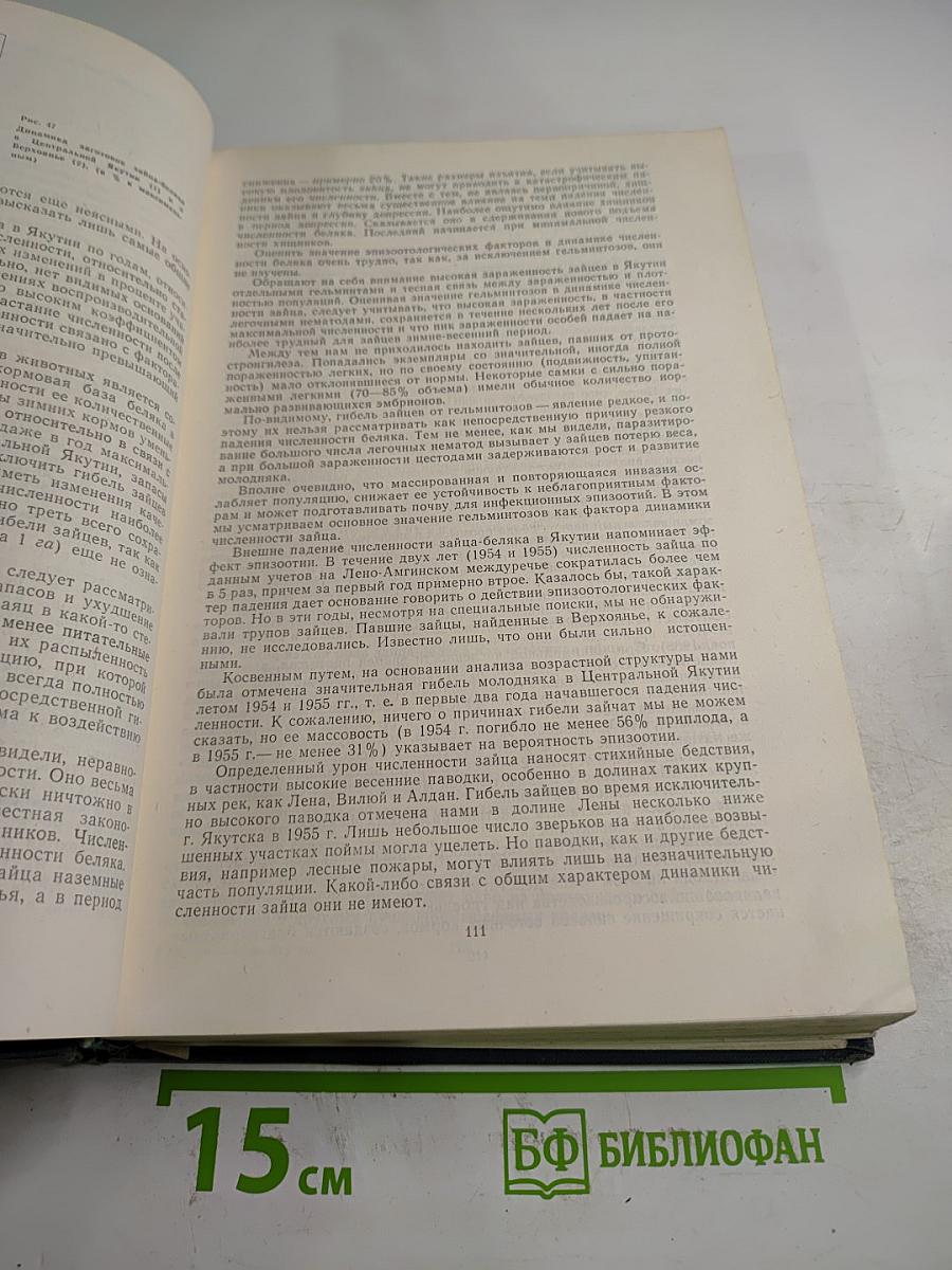 Млекопитающие Якутии