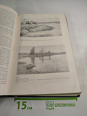 Млекопитающие Якутии