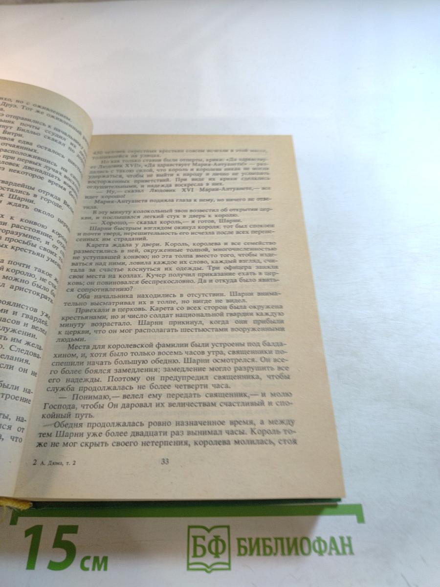 Графиня де Шарни. Том 2