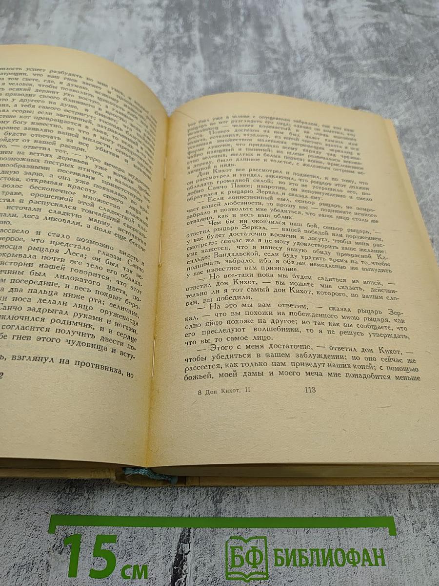 Хитроумный идальго Дон Кихот Ламанчский. Том второй