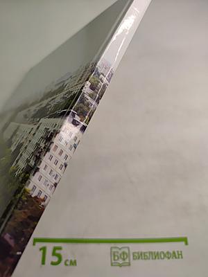 Гражданка. Муниципальное образование Муниципальный округ Санкт-Петербург