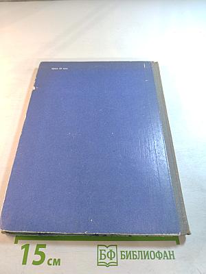 Хрустальный лес