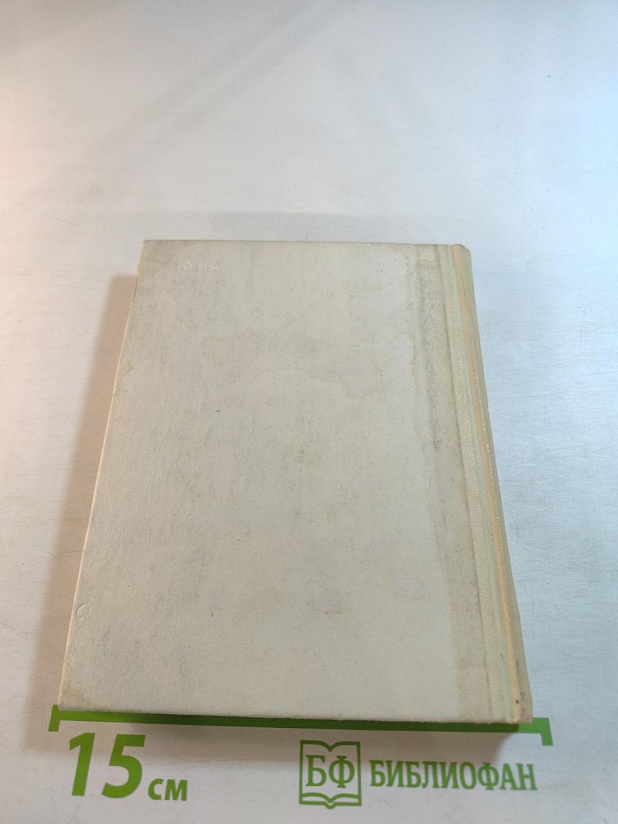 Мусоргский в Петербурге