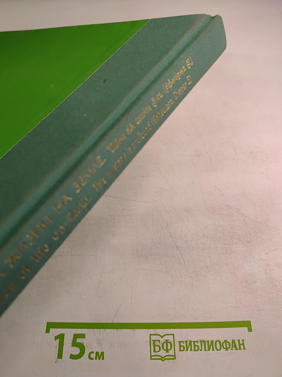 Семья — основа жизни на Земле