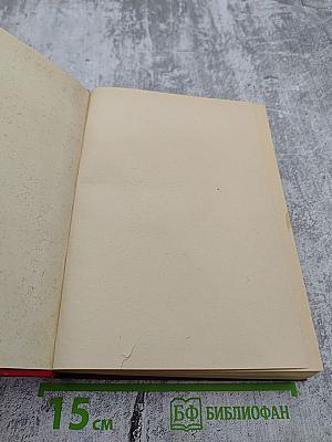 Старая крепость. Трилогия. Том II. Книга третья: Город у моря