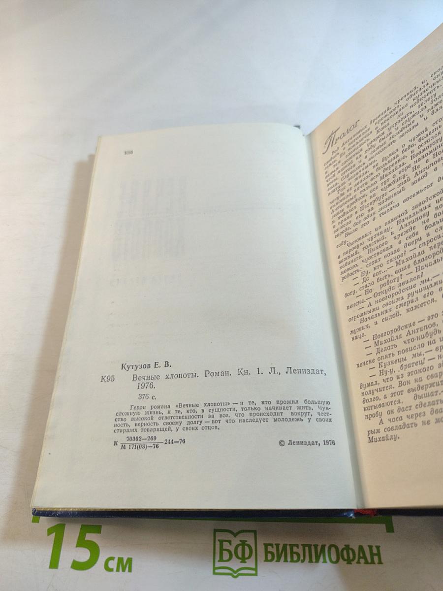 Вечные хлопоты. Книга первая