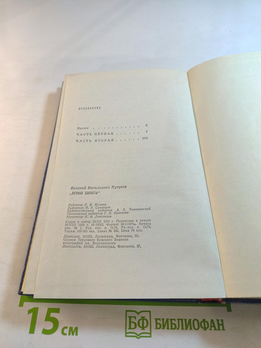 Вечные хлопоты. Книга первая