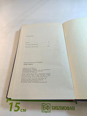 Вечные хлопоты. Книга первая