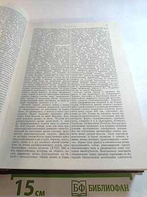 Энциклопедический Словарь Россия