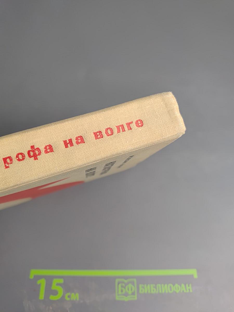 Катастрофа на Волге. Воспоминания офицера-разведчика 6-ой армии Паулюса