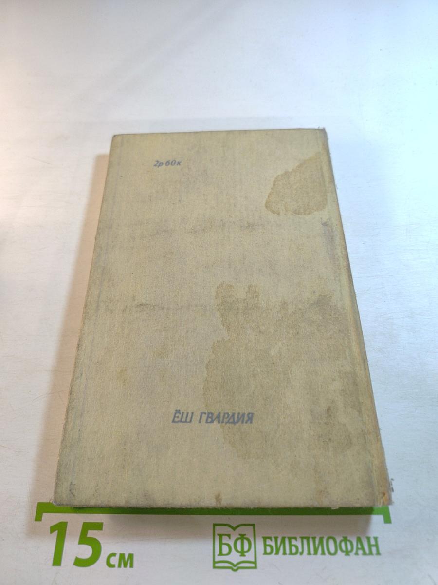 Пешие прогулки