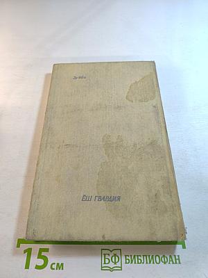 Пешие прогулки