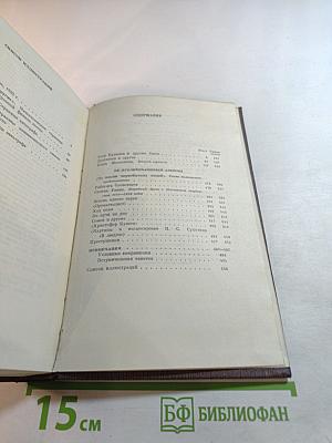 Полное собрание сочинений. Том 19: Пьесы, сценарии, драматические наброски 1917-1935