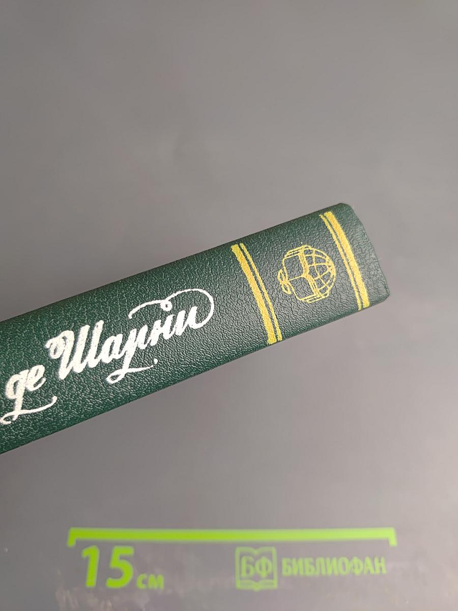 Графиня де Шарни. Том 2