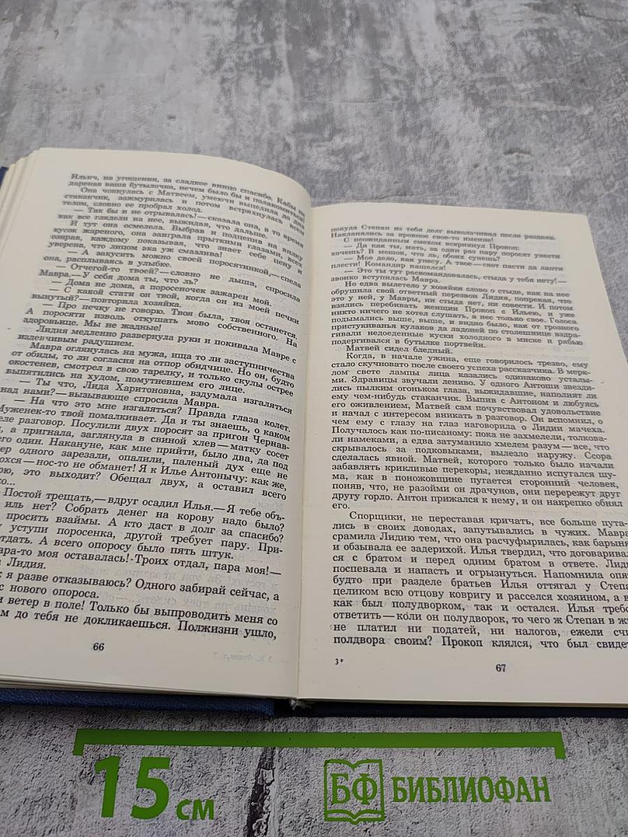 Костер. Роман. Книга первая