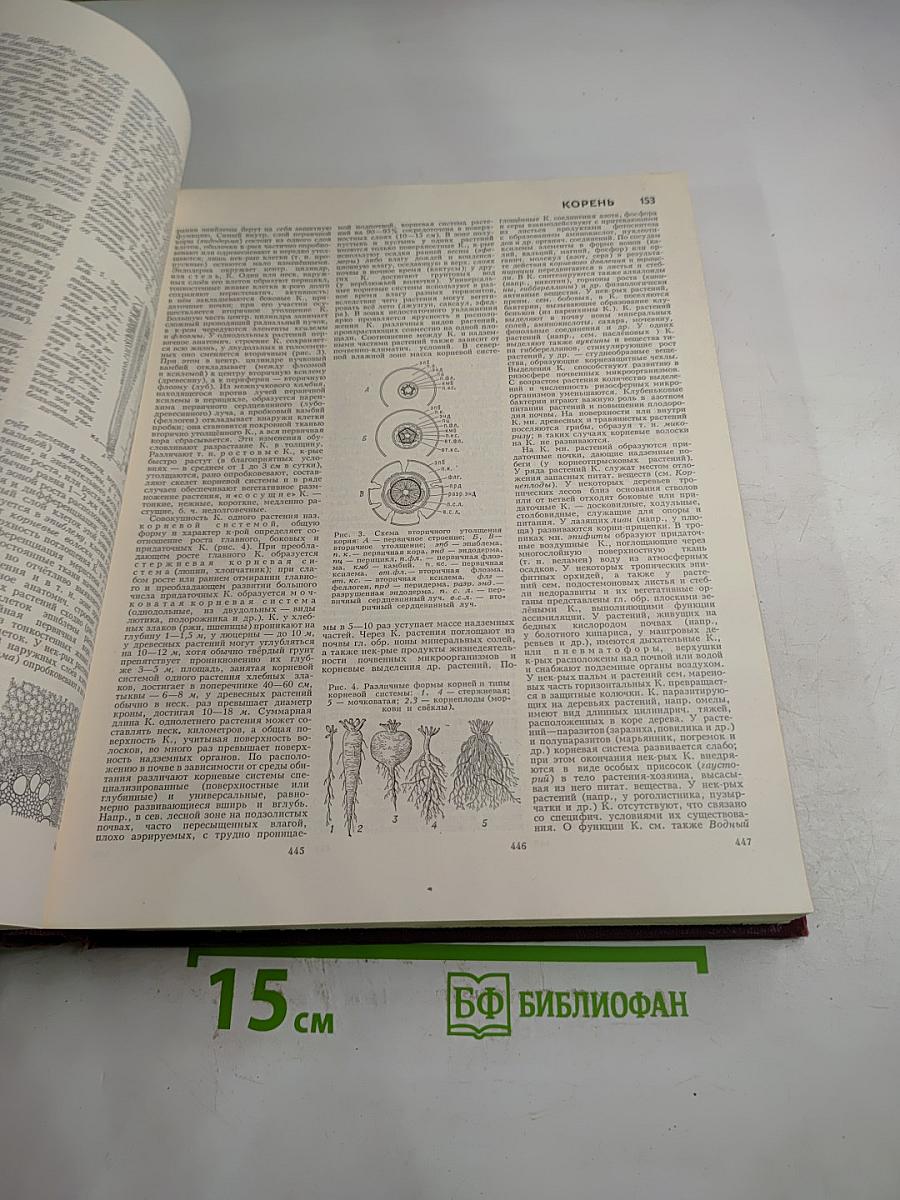 Большая Советская Энциклопедия. Том 13. Конда - Кун