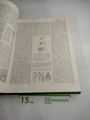 Большая Советская Энциклопедия. Том 13. Конда - Кун