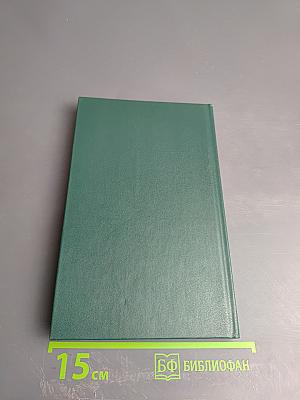 Королева Марго. Второй том