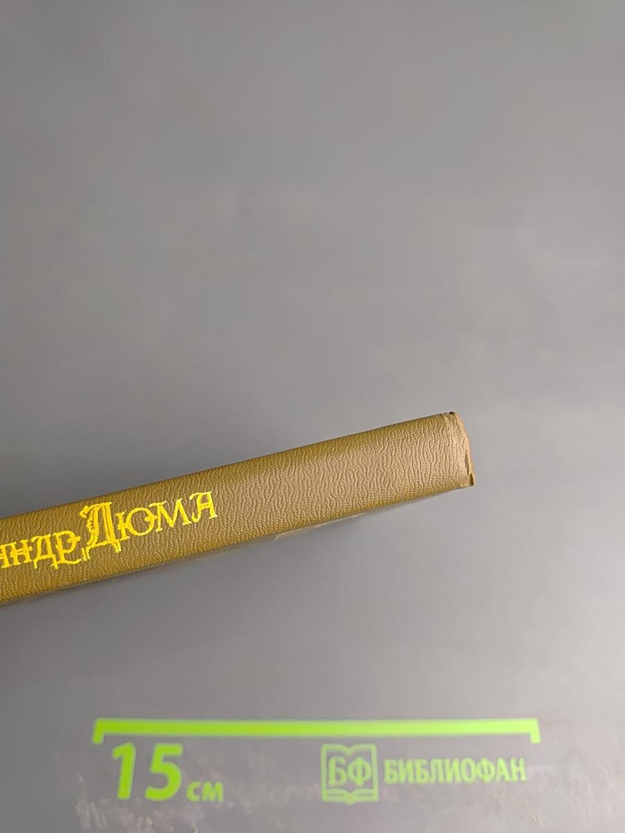 Королева Марго. Второй том