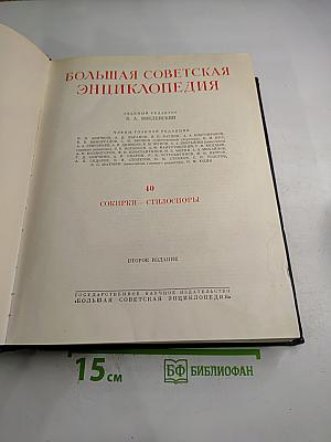 Большая Советская Энциклопедия. Том 40: Сокирки - Стилоспоры