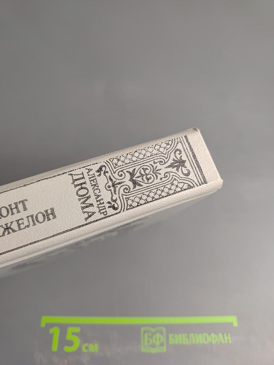 Виконт де Бражелон, или Десять лет спустя