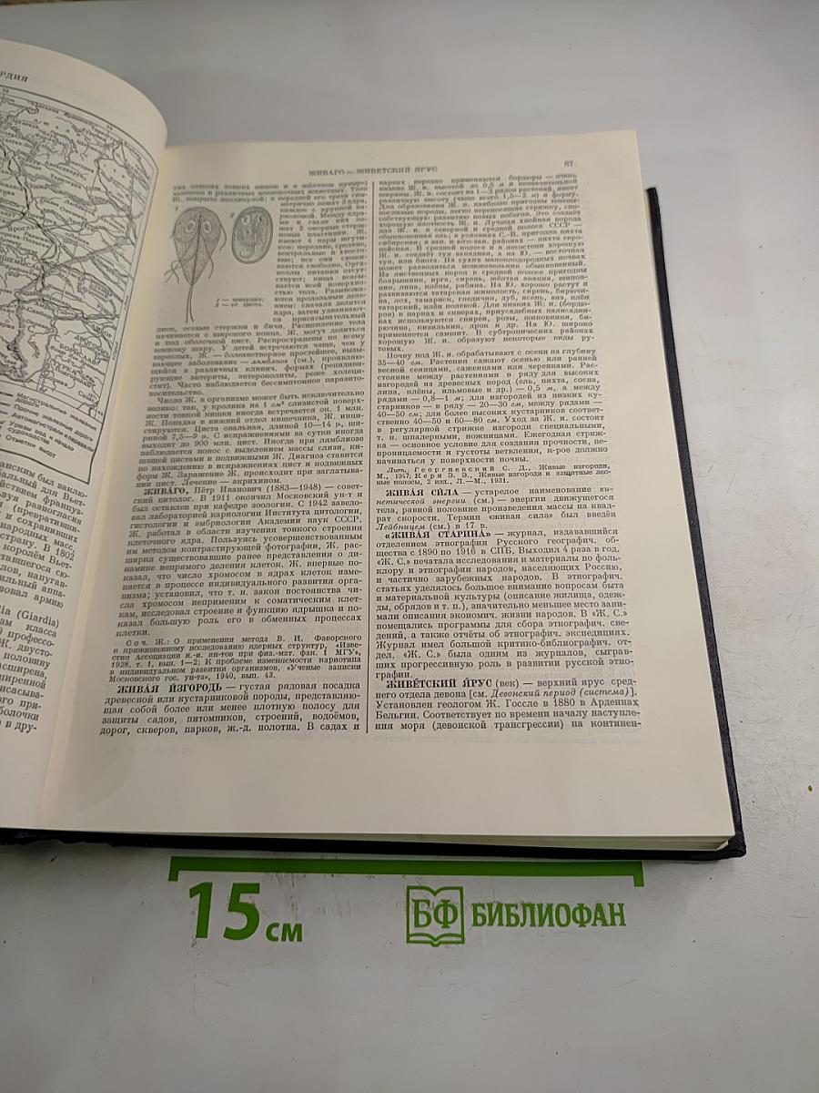 Большая Советская Энциклопедия. Том 16. Железо – Земли