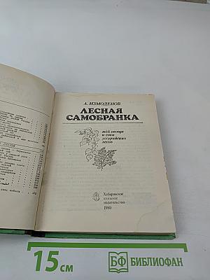Лесная самобранка: мёд, овощи и соки уссурийских лесов Дальнего Востока