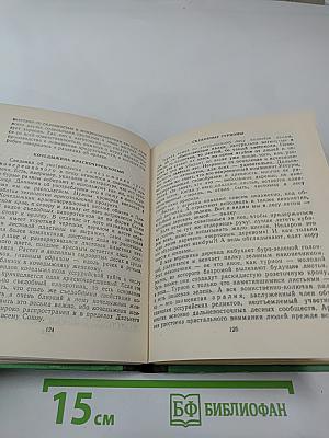 Лесная самобранка: мёд, овощи и соки уссурийских лесов Дальнего Востока