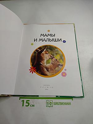 Мамы и малыши