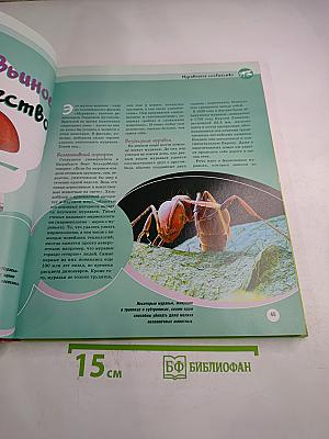 Калейдоскоп знаний