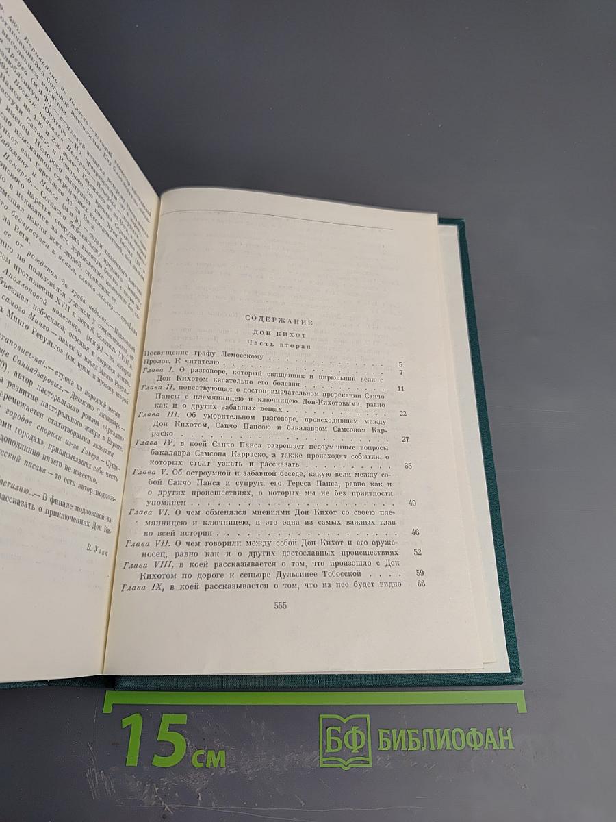 Хитроумный идальго Дон Кихот Ламанчский. Часть вторая