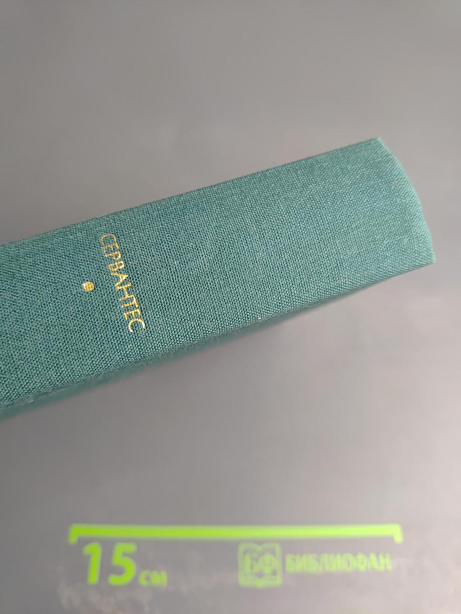 Хитроумный идальго Дон Кихот Ламанчский. Часть вторая