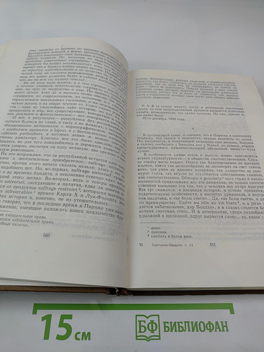 Собрание сочинений. Том четырнадцатый. За рубежом. Письма к Тетеньке