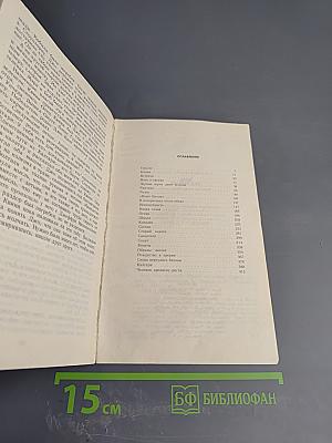 Ночь над прерией