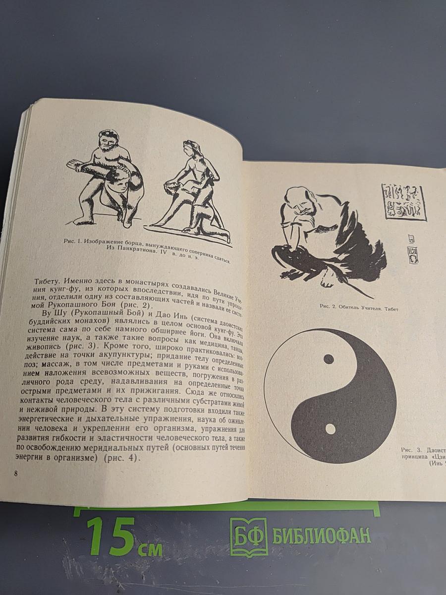 Первый шаг к кунг-фу