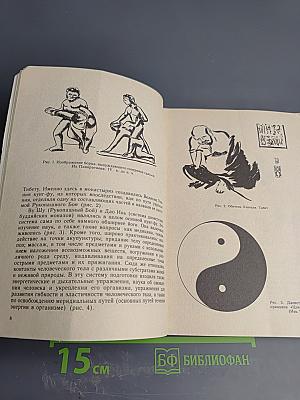 Первый шаг к кунг-фу