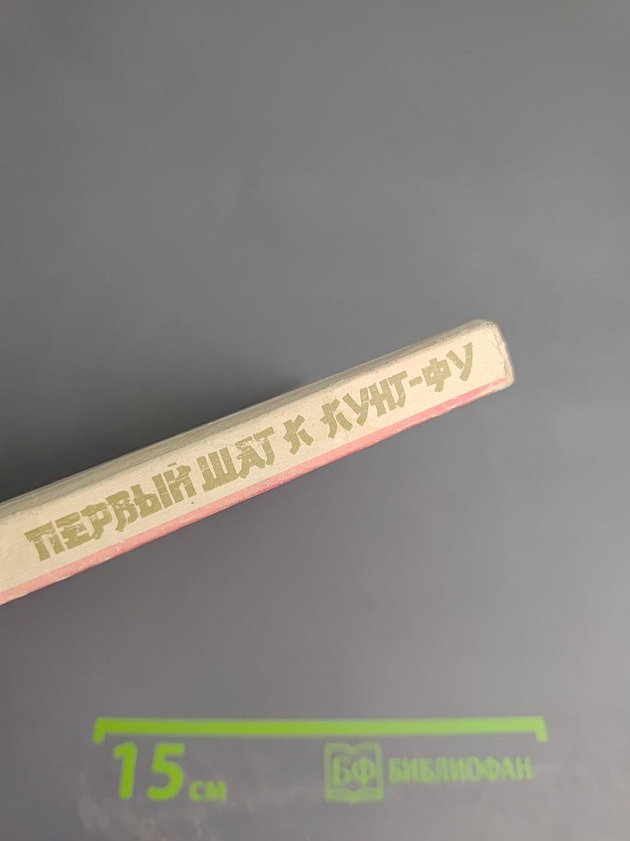 Первый шаг к кунг-фу