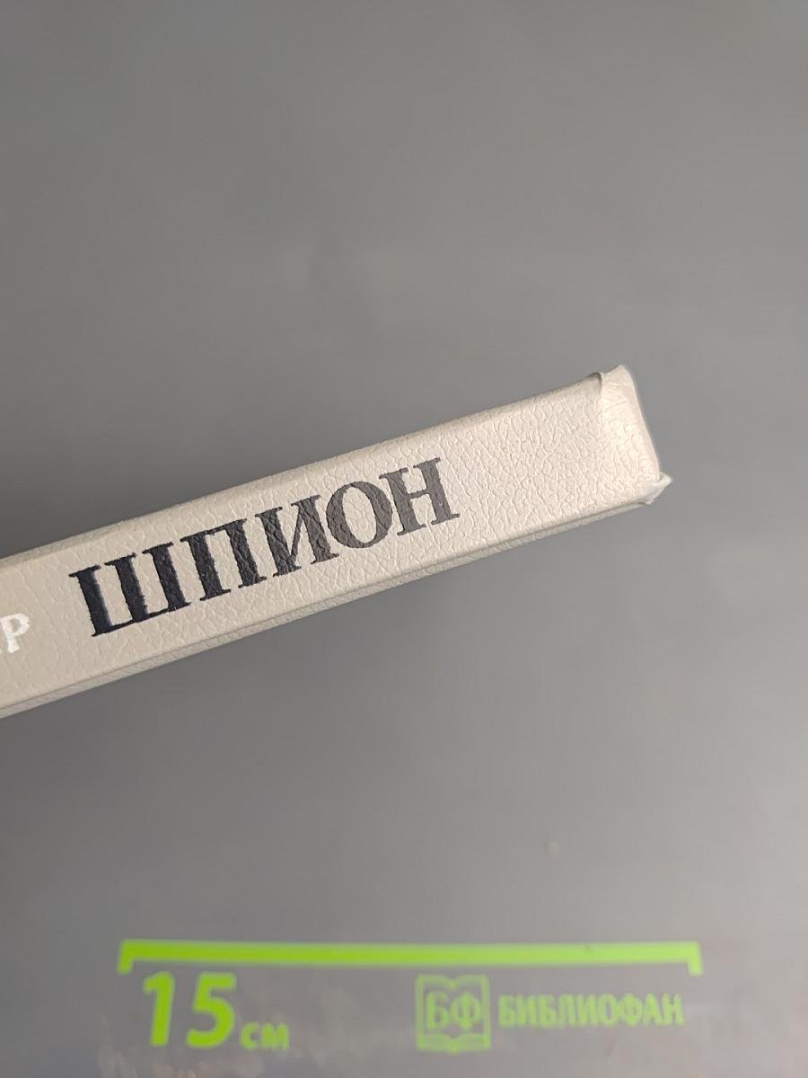 Шпион, или Повесть о нейтральной территории