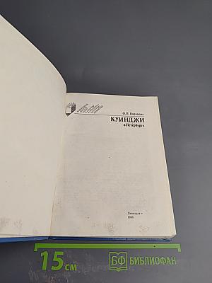 Куинджи в Петербурге