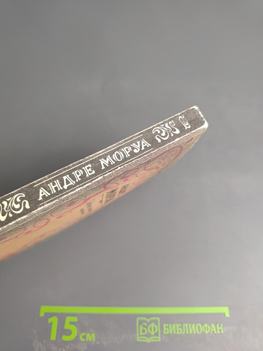 Собрание сочинений. Том шестой: Олимпио, или Жизнь Виктора Гюго (части VIII-X). Литературные портреты