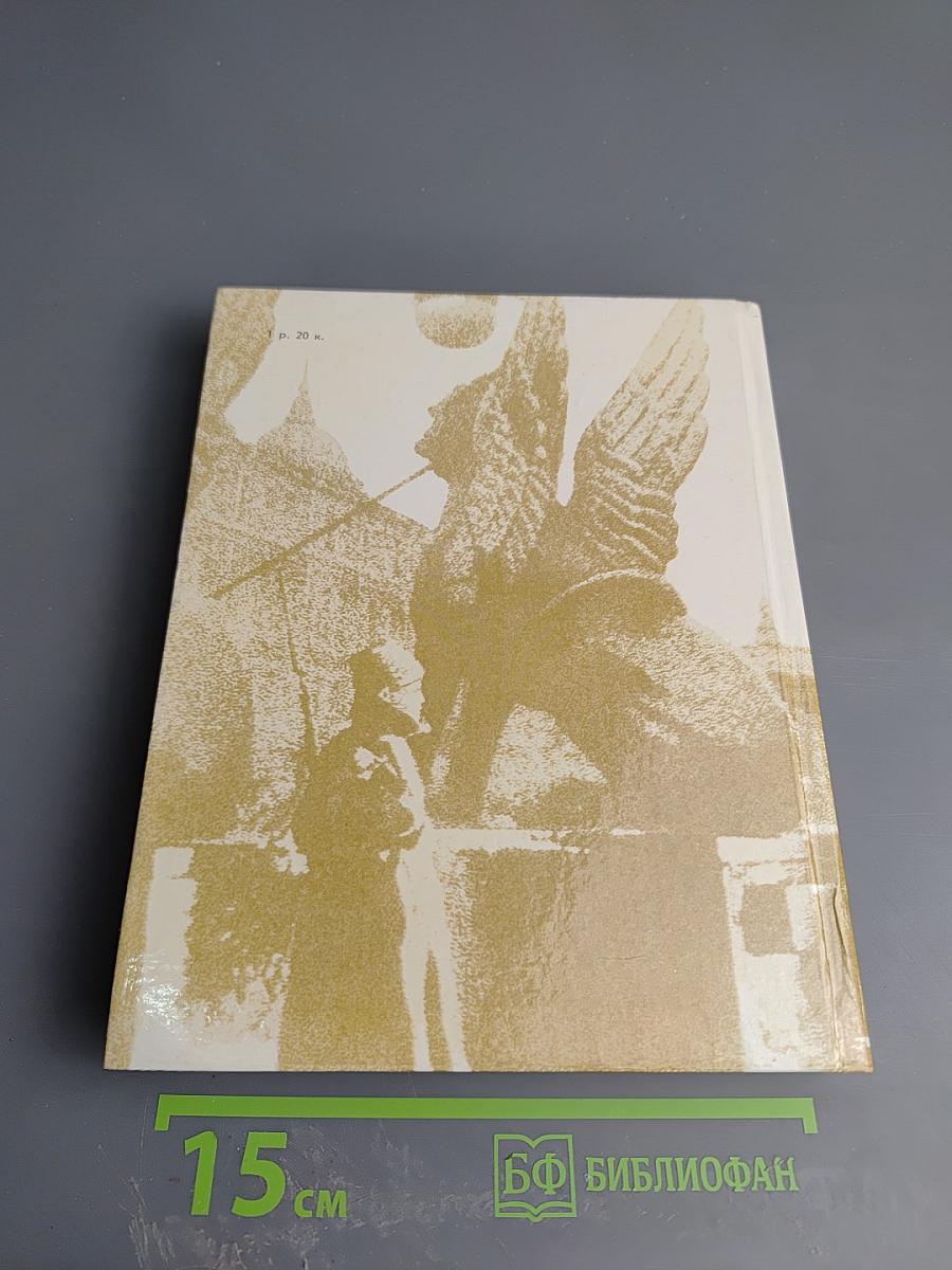 Чекисты Петрограда на страже революции. Книга 2