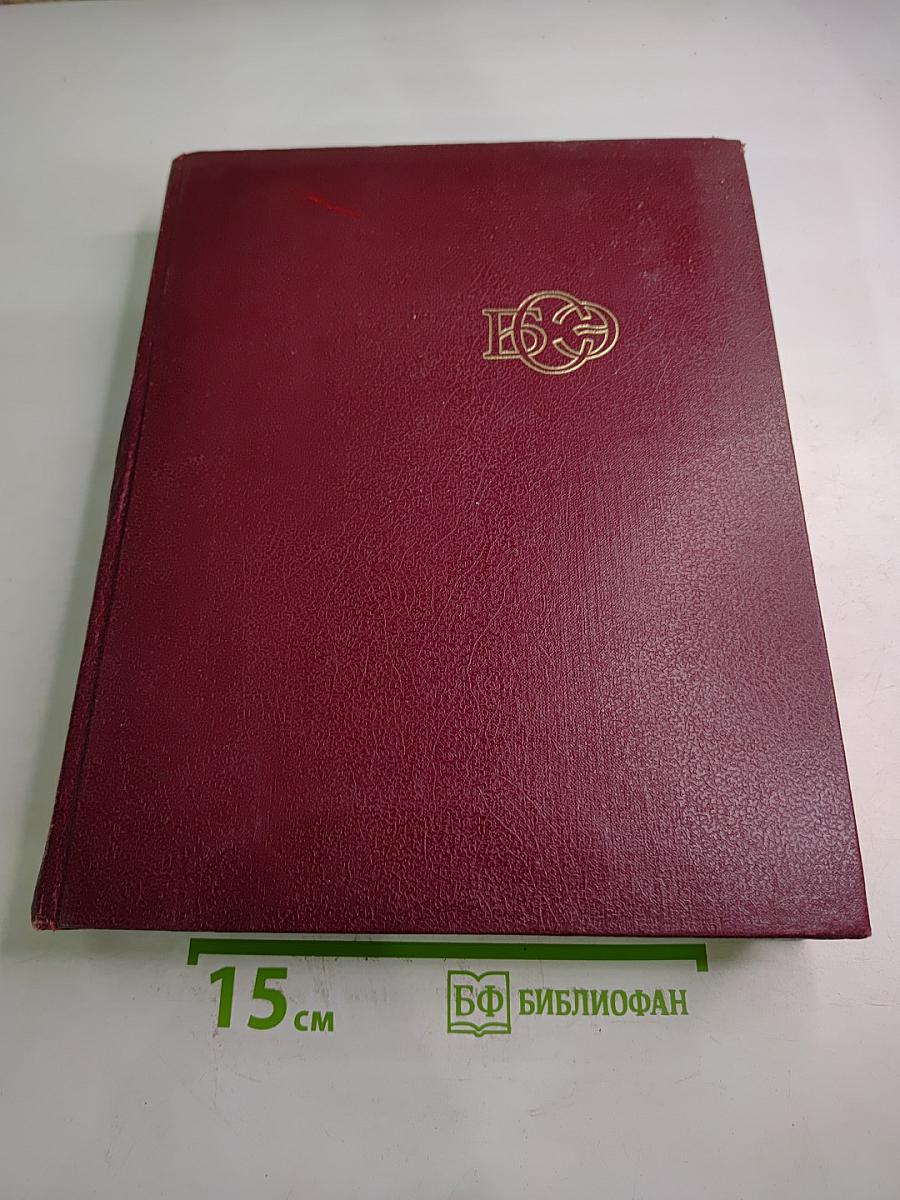 Большая Советская Энциклопедия. Том 10: Ива – Италики