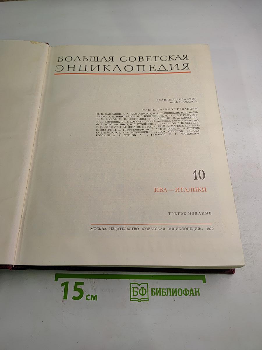 Большая Советская Энциклопедия. Том 10: Ива – Италики