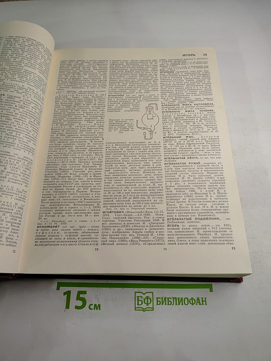 Большая Советская Энциклопедия. Том 10: Ива – Италики