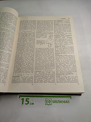 Большая Советская Энциклопедия. Том 10: Ива – Италики