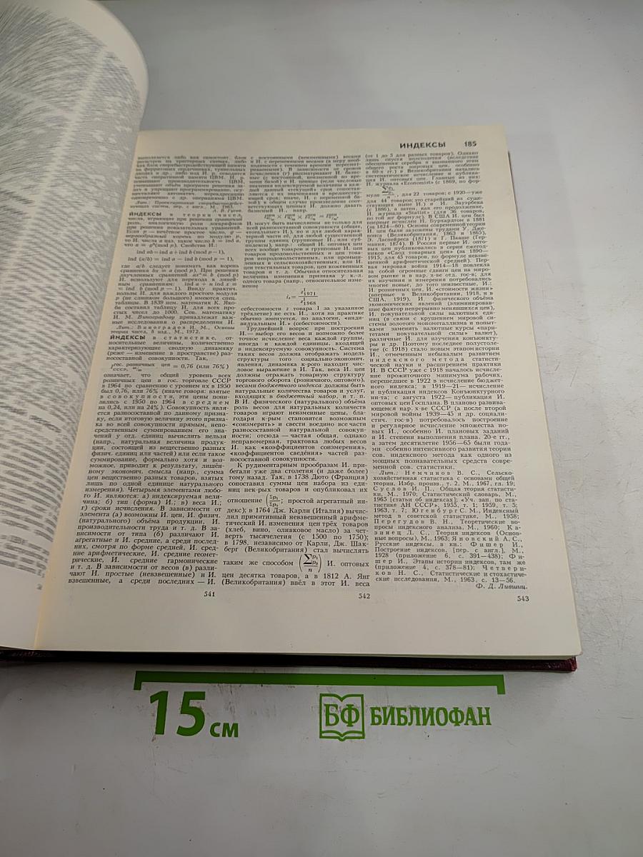 Большая Советская Энциклопедия. Том 10: Ива – Италики