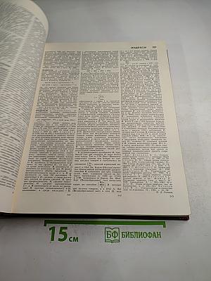 Большая Советская Энциклопедия. Том 10: Ива – Италики