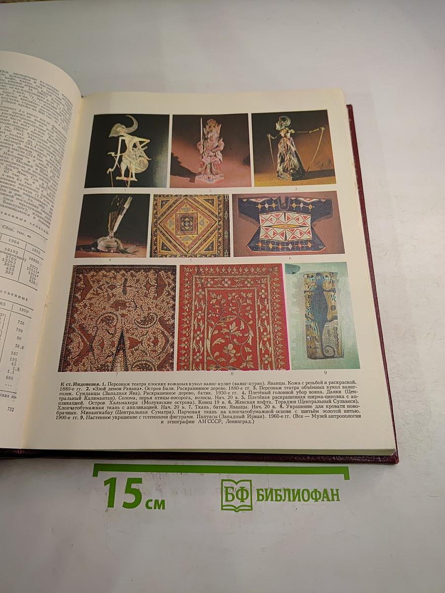 Большая Советская Энциклопедия. Том 10: Ива – Италики